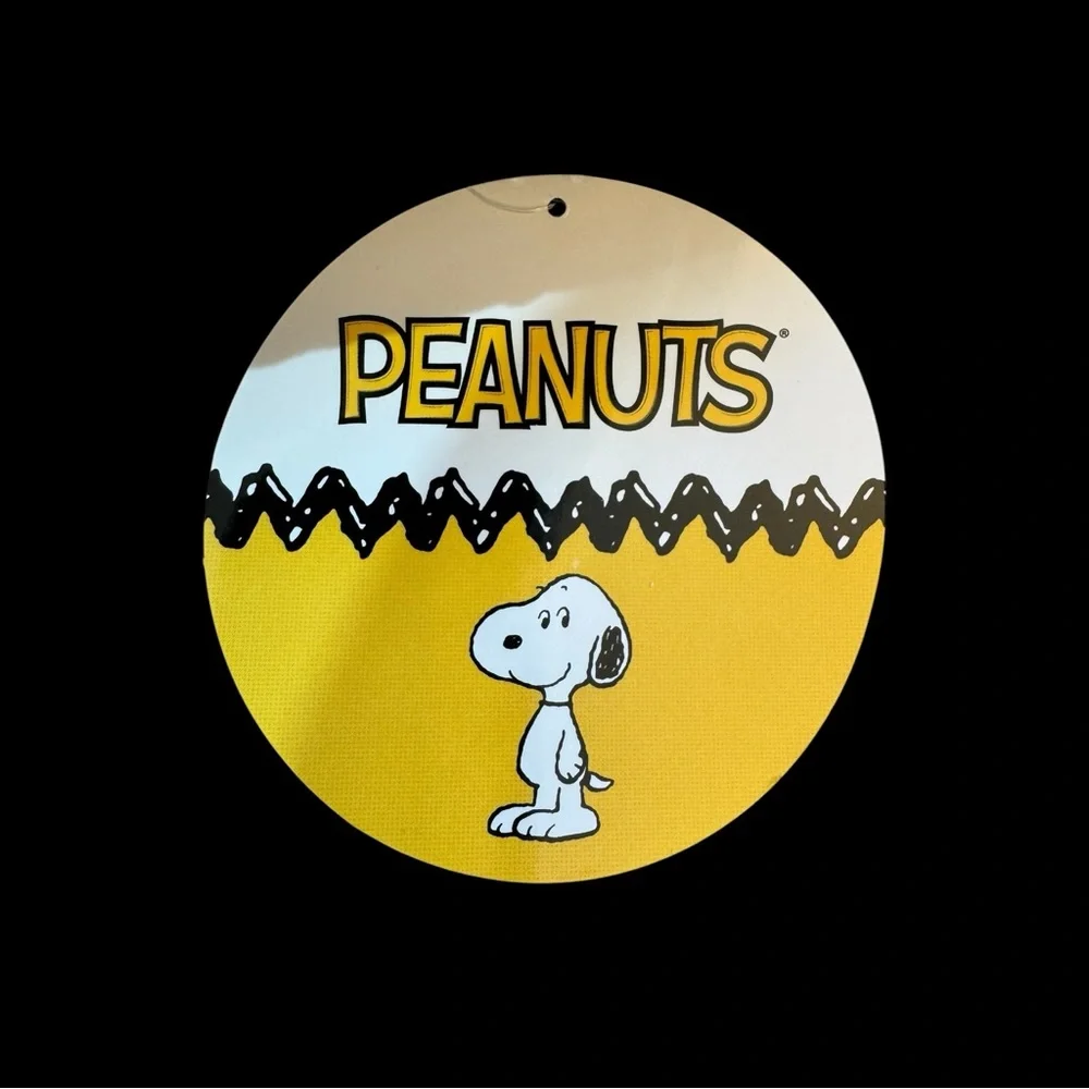 Snoopy Surfboard Sherpa pillow NWT